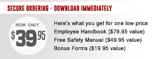 Buy The Handbook Template Buy The Handbook Template